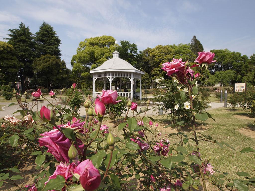 バラ園の風景 敷島公園門倉テクノばら園 | スポット一覧 | 心にググっと観光ぐんま