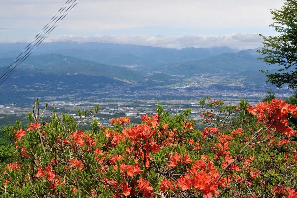 （2017）船ヶ鼻登山道・３-scaled.jpg