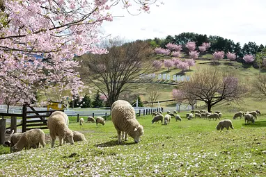 伊香保グリーン牧場