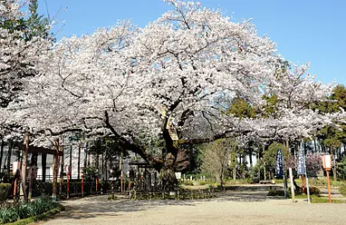 世良田東照宮