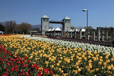 カネコ種苗ぐんまフラワーパーク【リニューアル工事に伴い全面休園中】