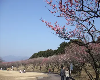 桐生市南公園