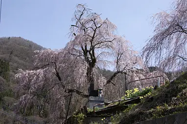 中正寺