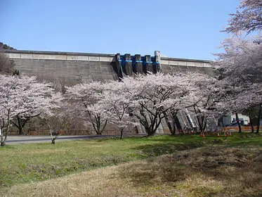 水の広場（桜）