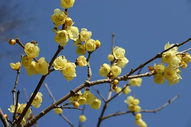 山上城跡公園