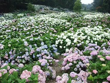 環境システム荻窪公園