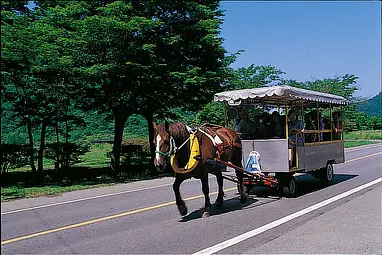 榛名湖湖畔 トテ馬車