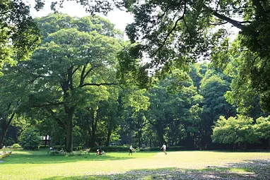 群馬県立公園 群馬の森