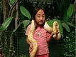 snakecenter_01.jpg