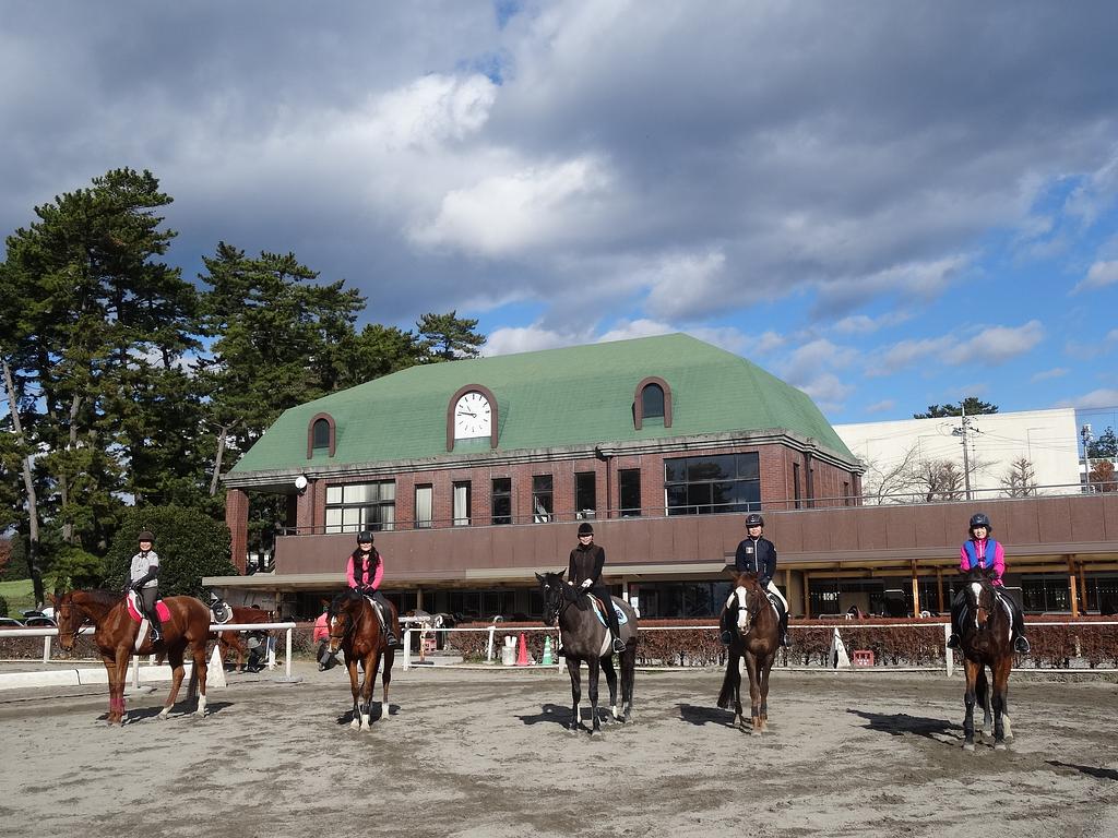 群馬県馬事公苑 ビジター制乗馬施設 | スポット一覧 | 心にググっと観光ぐんま