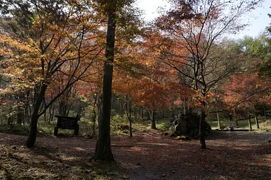 伊香保森林公園