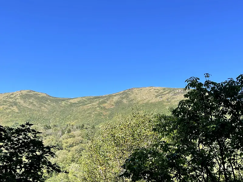 鳩待峠から望む至仏山