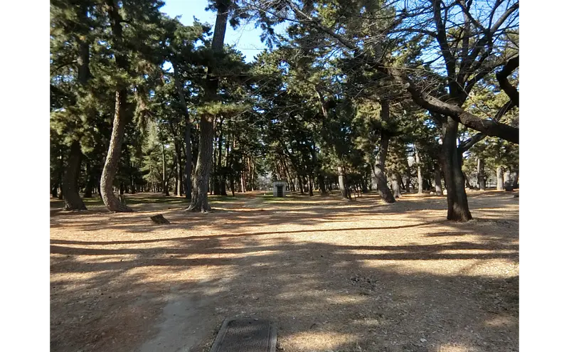 park6_1.png