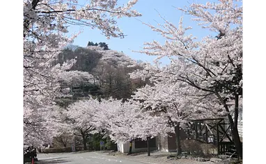 桜山公園