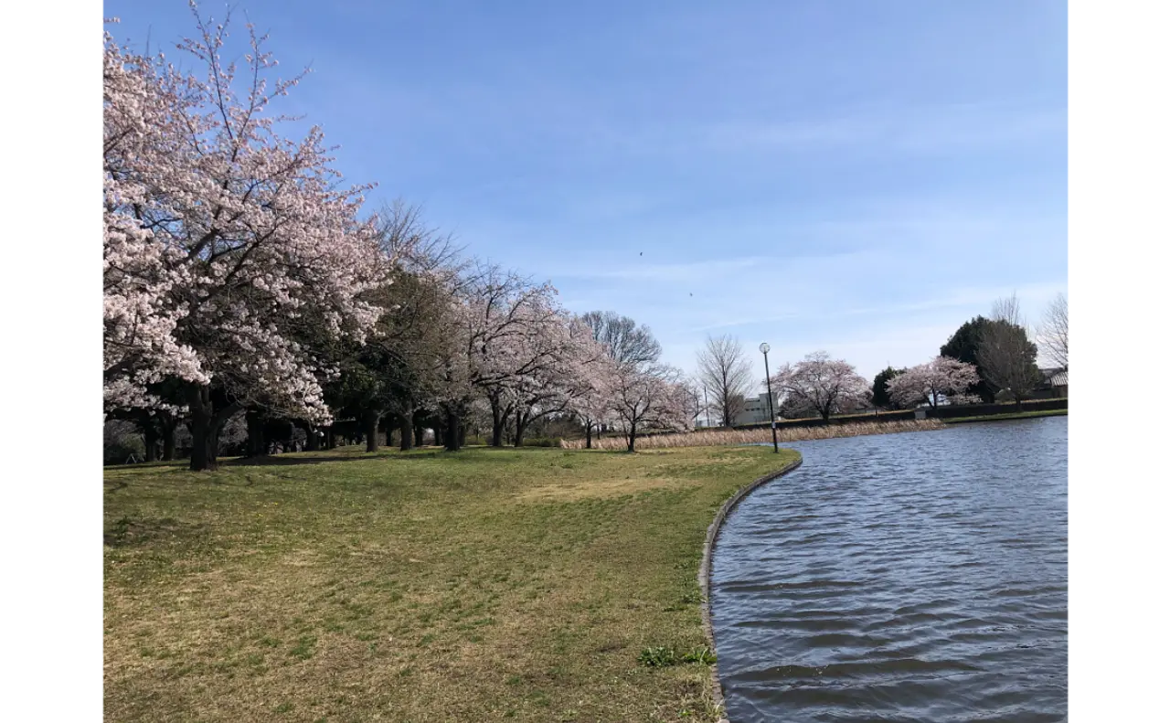 前橋総合運動公園-2.png