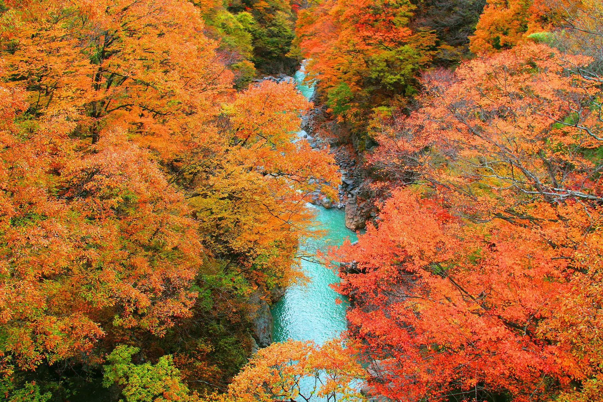 秋の群馬を満喫！紅葉スポット10選 | 特集一覧 | 心にググっと観光ぐんま