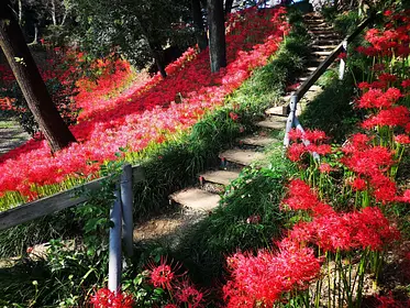 離山公園