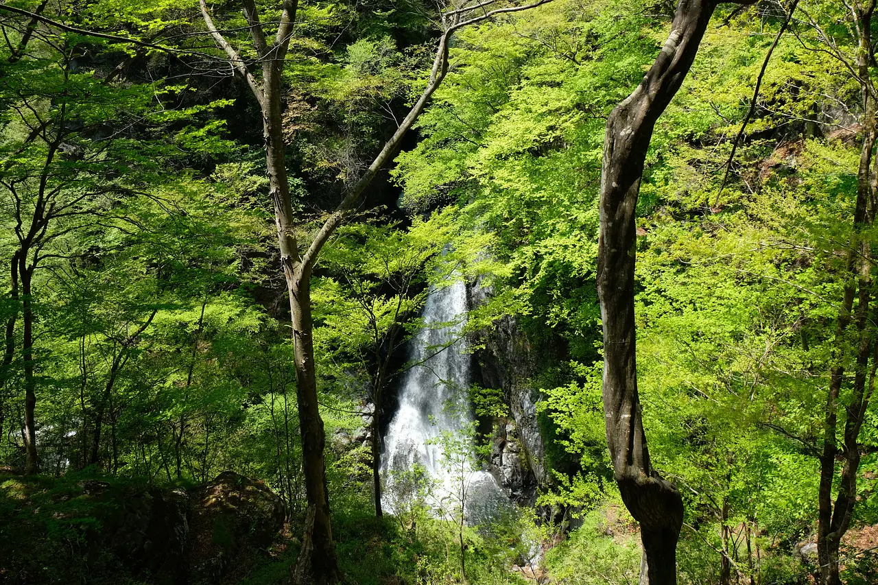 小中大滝　新緑（みどり市）