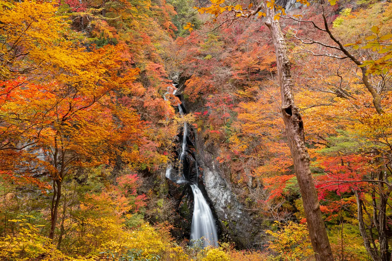 小中大滝　紅葉（みどり市）