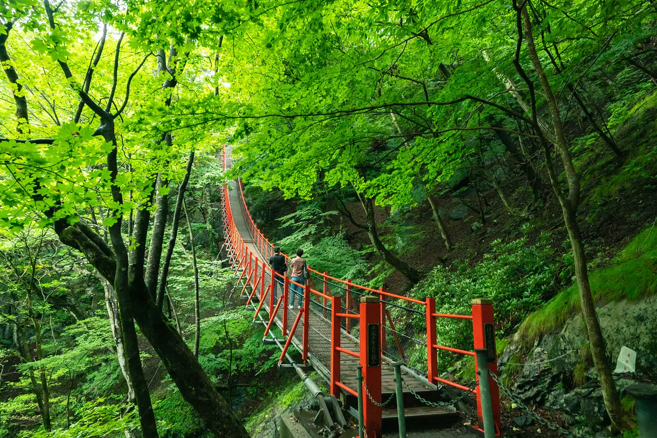 小中大滝　けさかけ橋（みどり市）