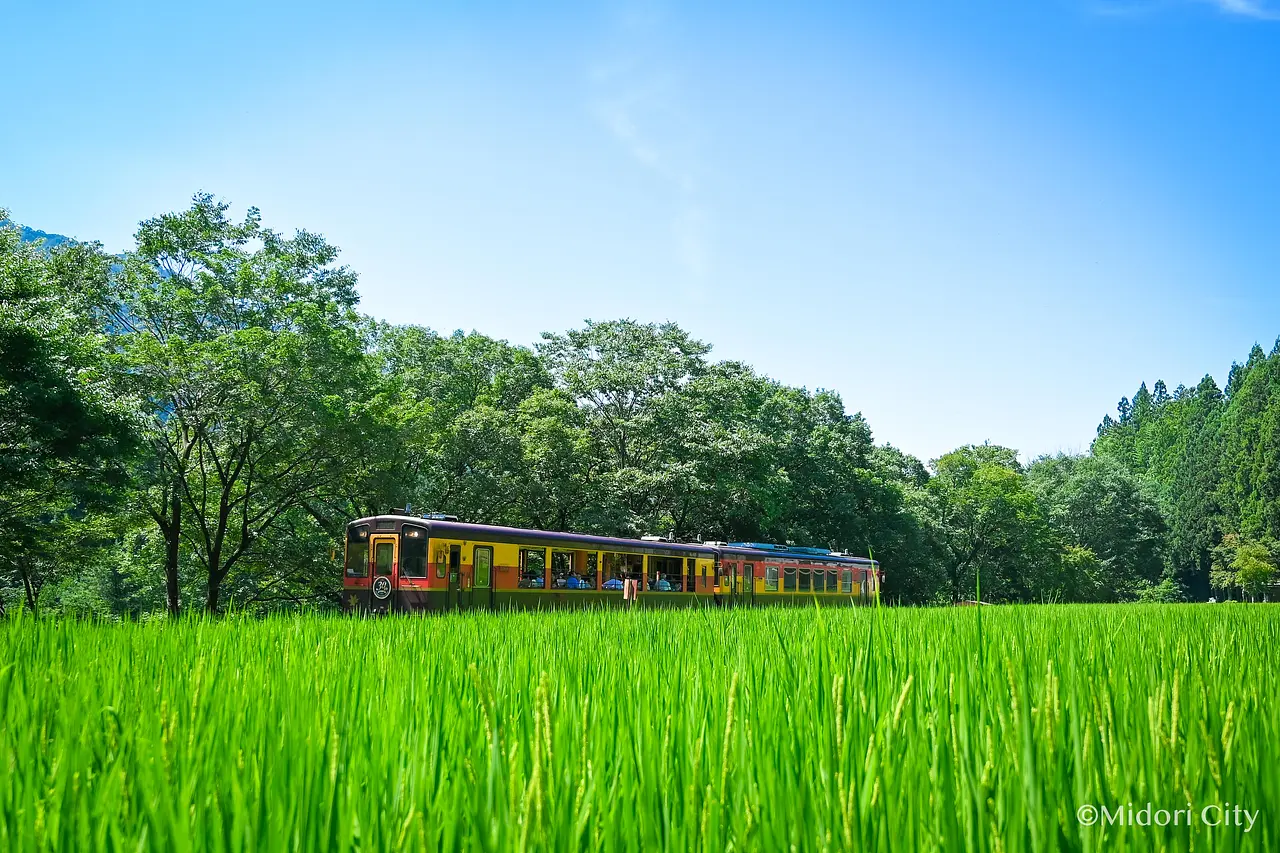 わたらせ渓谷鐵道　夏（みどり市）