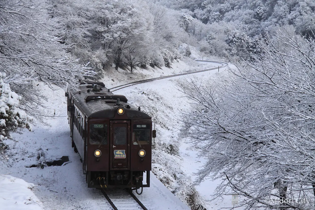 わたらせ渓谷鐵道　冬（みどり市）