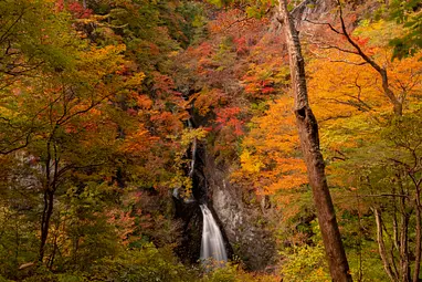 小中大滝