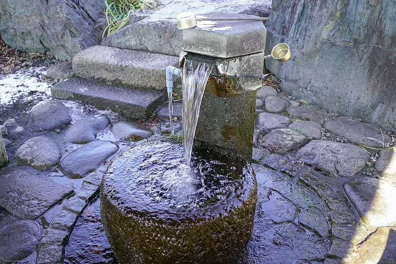 お諏訪の水（川場村）1