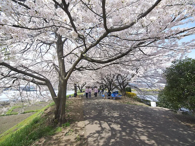 鹿の川沼（みどり市）