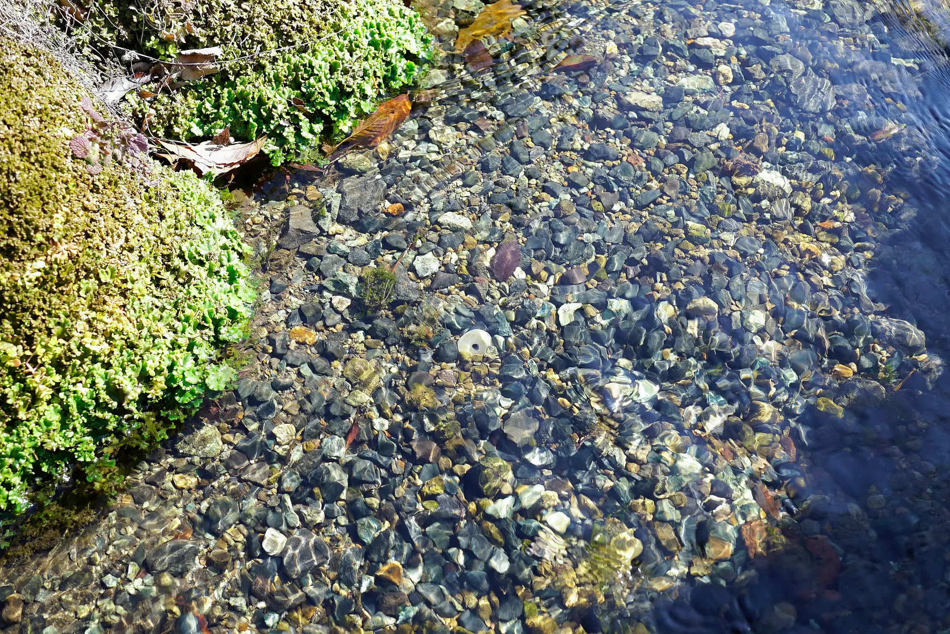 群馬の名水をたずねて 群馬の名水をたずねて