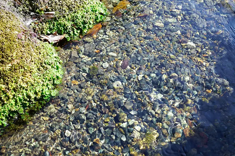 群馬県名水