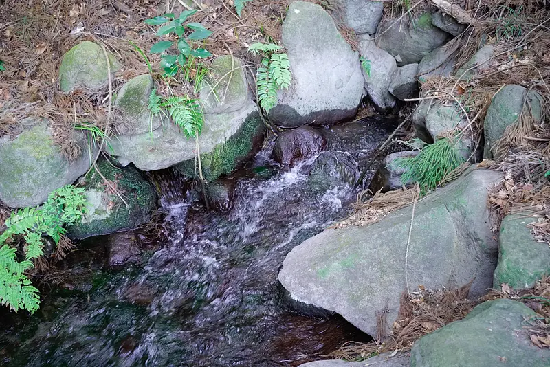 箱島湧水水源（東吾妻町）