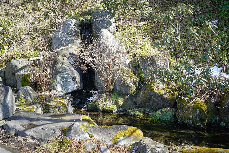 吉祥寺の水（川場村）2