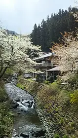 川中温泉　かど半旅館