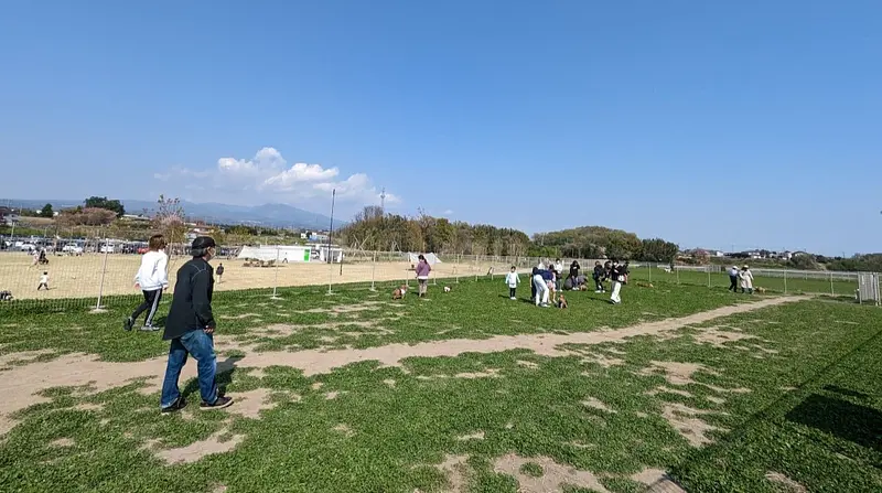 まえばし赤城ドッグラン（前橋市）