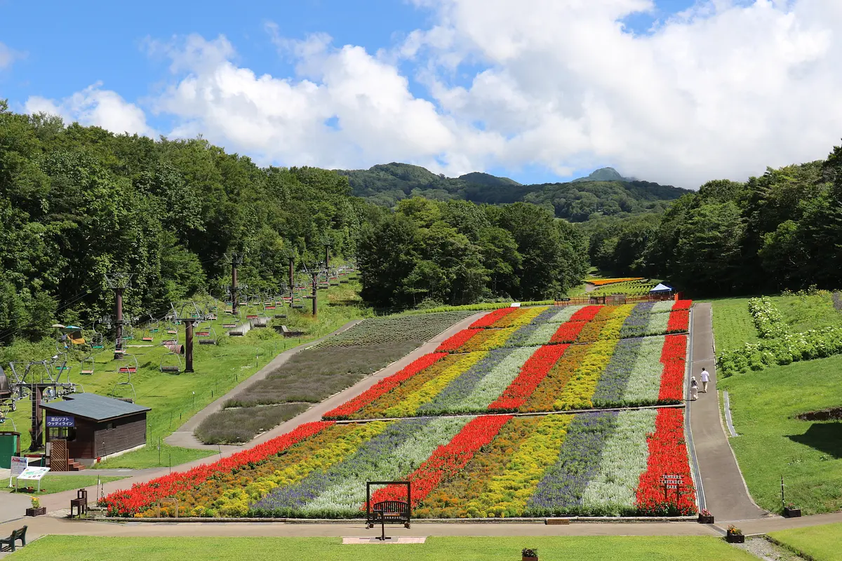 たんばらラベンダーパーク | スポット一覧 | 心にググっと観光ぐんま