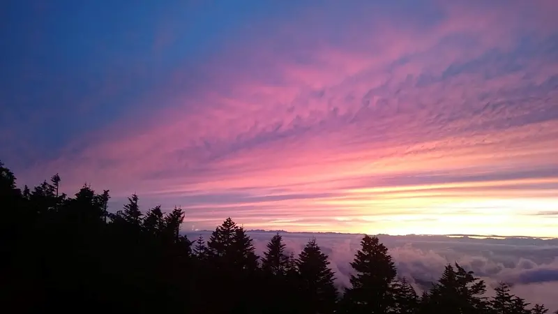 山頂から見える雲海