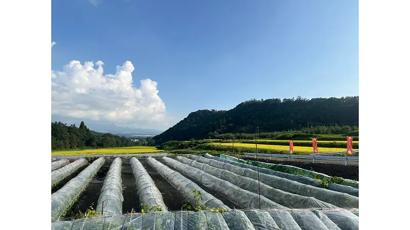 利根沼田の景色（沼田市下発知町）