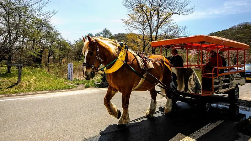 榛名湖畔（トテ馬車）