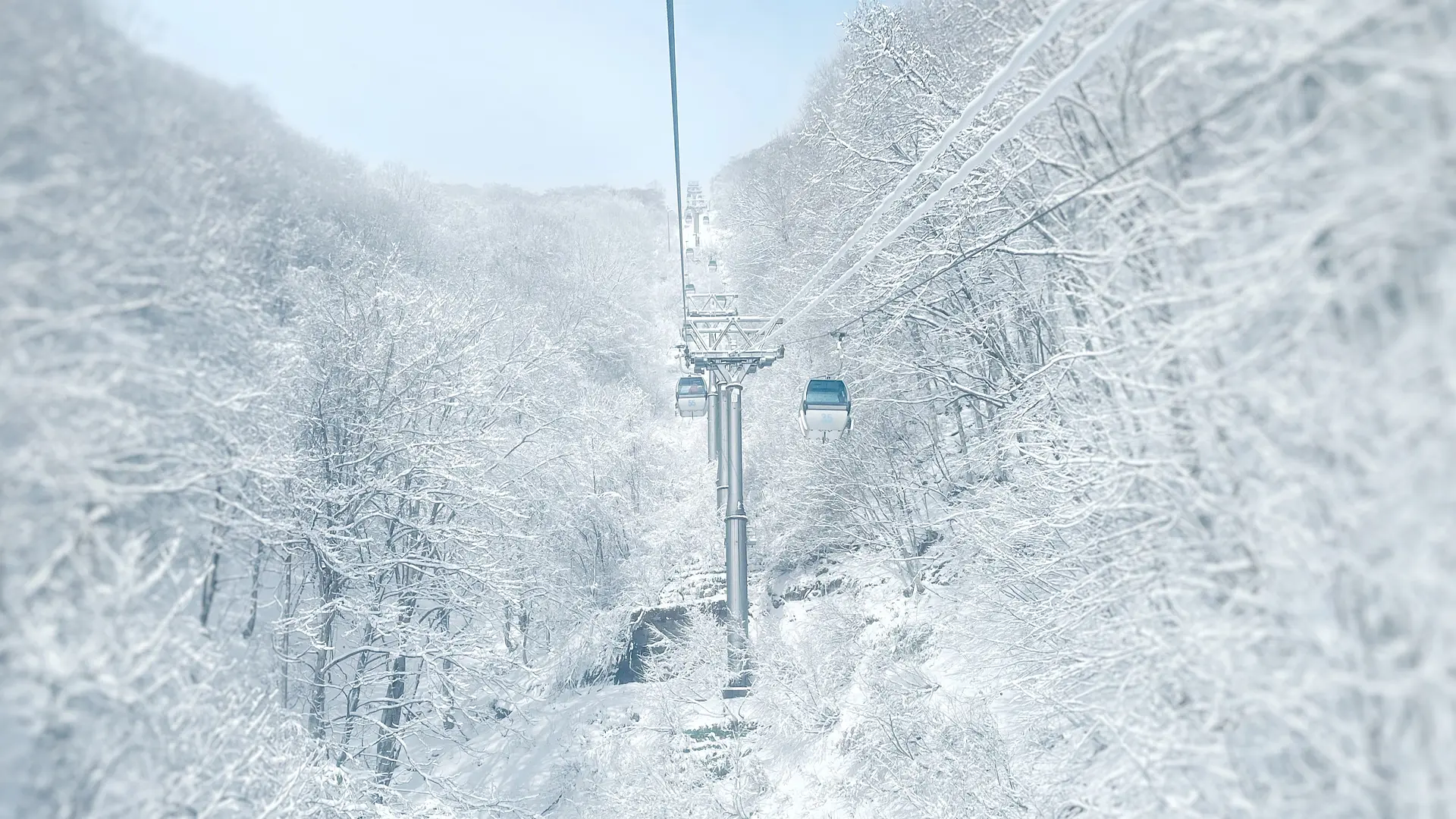 POWDER 5 ぐんま 20時間券 2024-2025 群馬県5つのスキー場で使える「