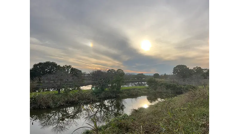 群馬の水郷公園（板倉町）