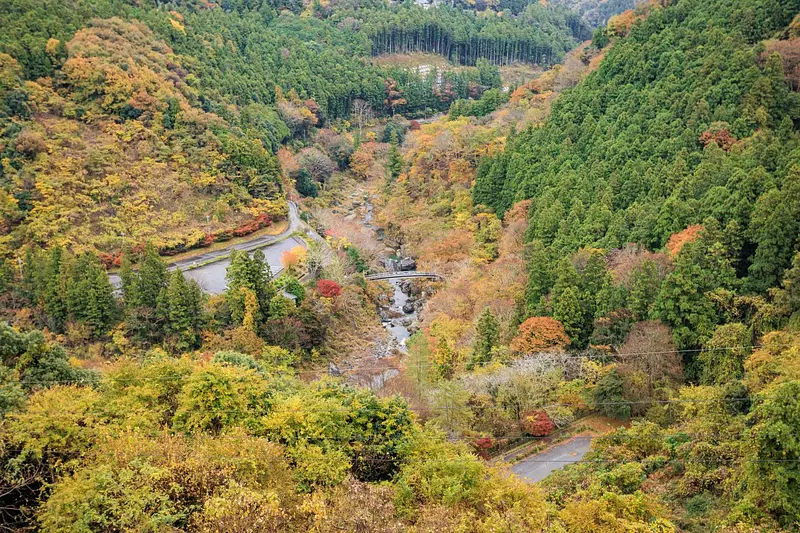 下久保ダムから見た三波石峡