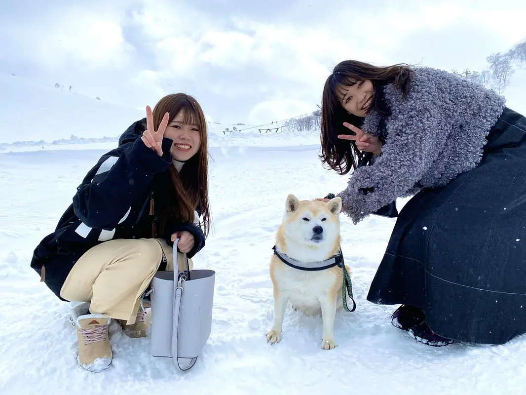 483918434_1752401279017529_8034326802339874833_n (1).jpg