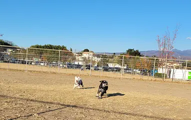 道の駅まえばし赤城