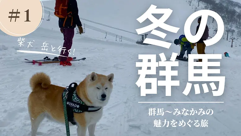 柴犬 岳と行く！冬の群馬〜みなかみの魅力をめぐる旅