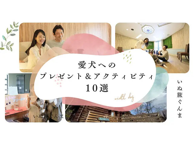 特別な日に贈りたい　愛犬へのプレゼント＆アクティビティ　10選