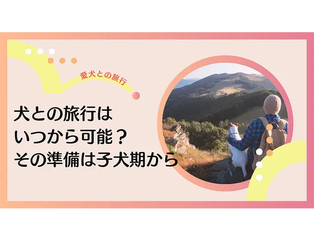 犬との旅行はいつから可能？ その準備は子犬期から始まる！