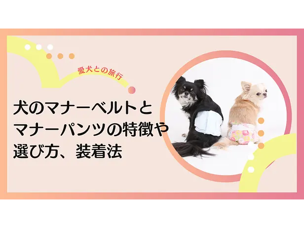 旅行でも使える！ 犬のマナーベルトとマナーパンツの特徴や選び方、装着法