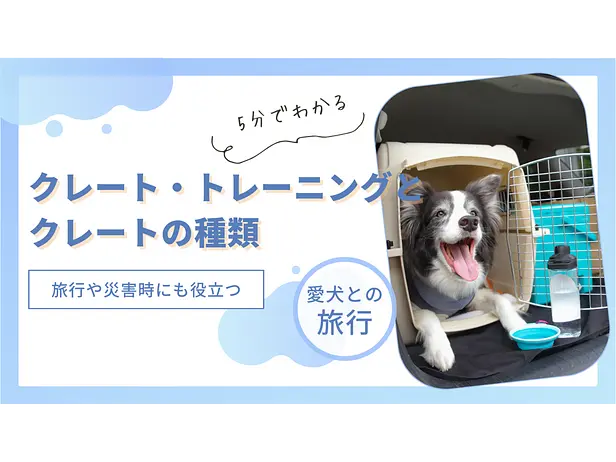 旅行や災害時にも役に立つ！ 愛犬のクレート・トレーニングとクレートの種類