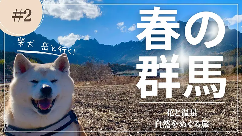 柴犬 岳と行く！春の群馬〜花と温泉、自然をめぐる旅